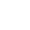 Attraction icon